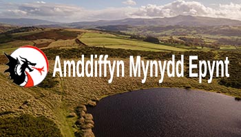 Amddiffyn Mynydd Epynt (AME)